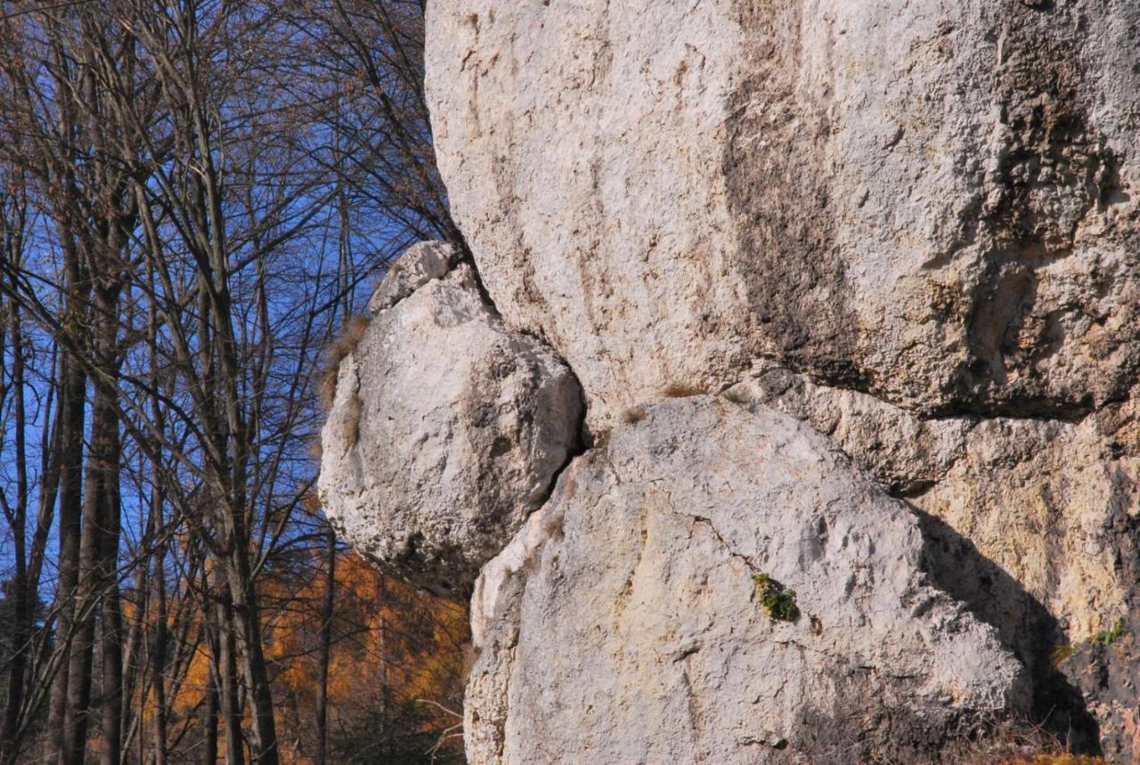 Pokoje Goscinne U Grazyny Ojcow Exterior foto